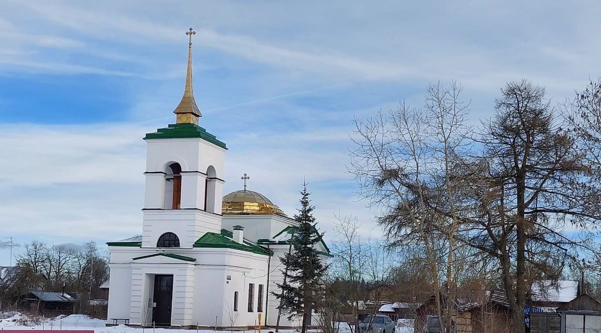 земля р-н Гатчинский д Старосиверская фото 9
