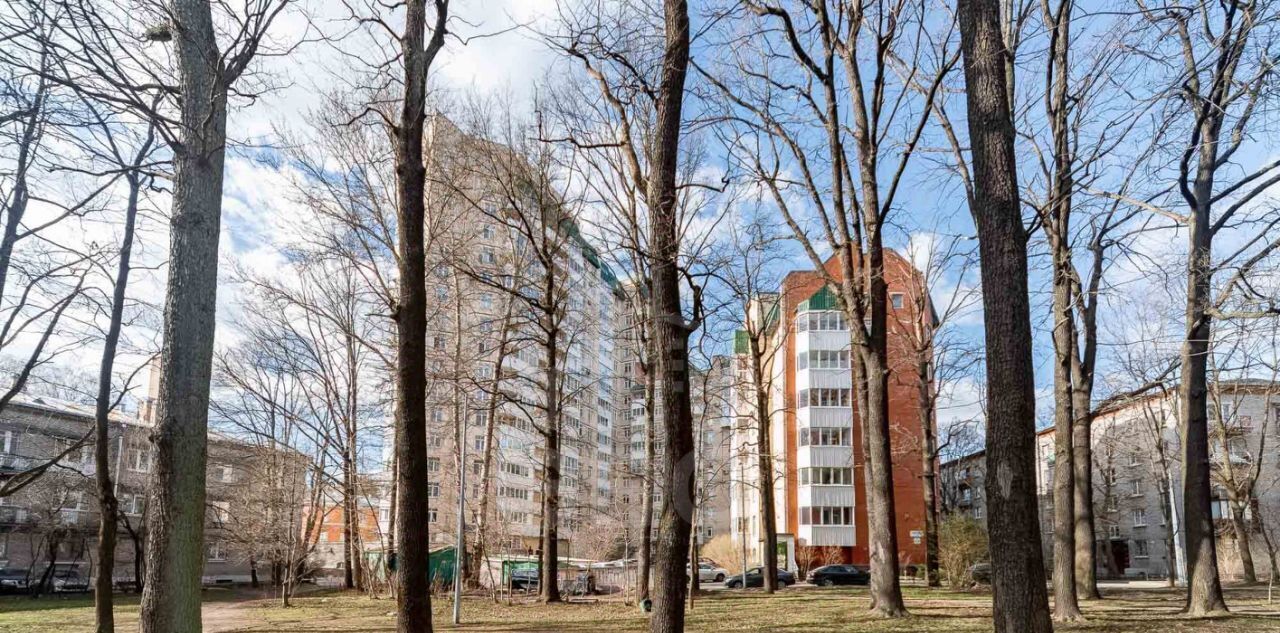 квартира г Санкт-Петербург метро Удельная ул Гаврская 15 фото 32