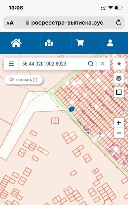 земля г Оренбург р-н Ленинский снт Горизонт ул Кленовая Ростоши-3 дм фото 3