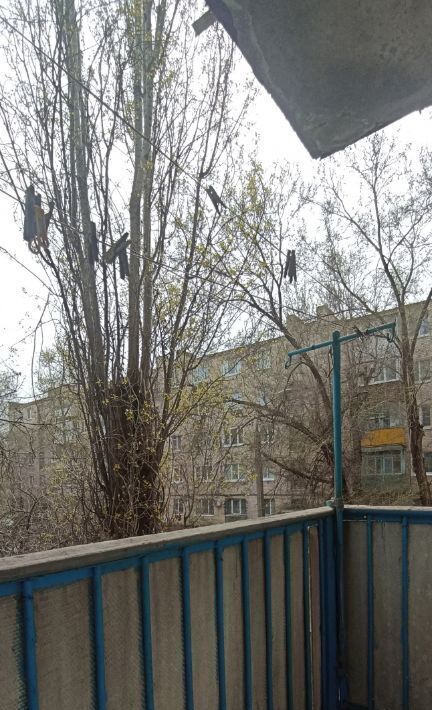 квартира г Волгоград р-н Краснооктябрьский ул им. Петра Гончарова 10 фото 12