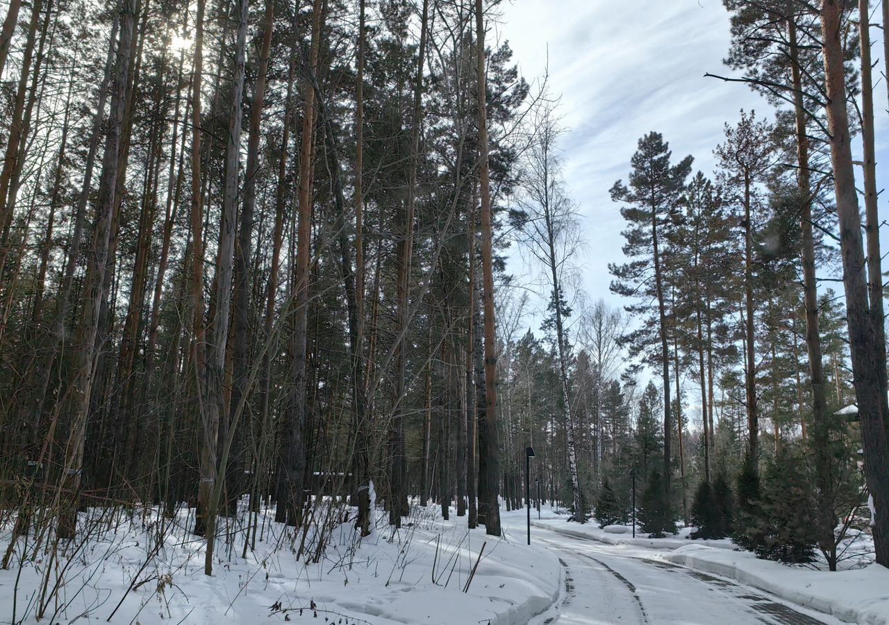 земля г Новосибирск р-н Заельцовский фото 4