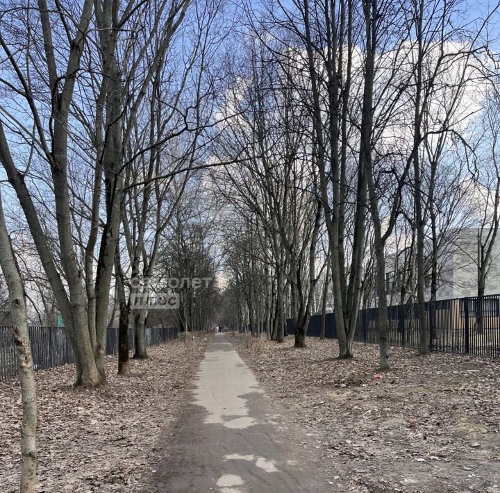 квартира г Королев ул Сакко и Ванцетти 26а Ростокино фото 24