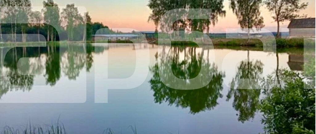 земля р-н Красносельский д Абрамово Прискоковское сельское поселение фото 3