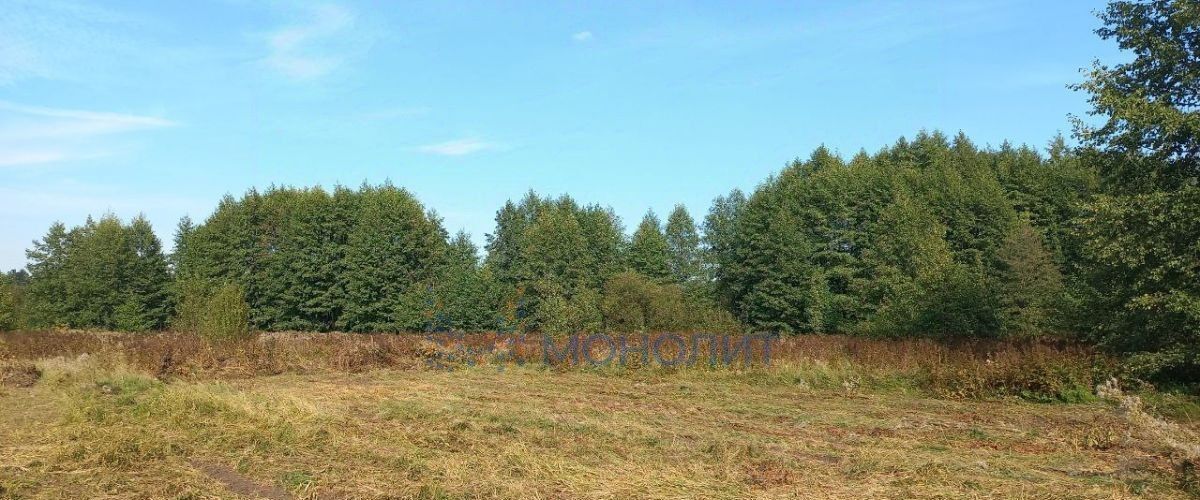 земля г Семенов п Зеленый кп, Нижний Новгород городской округ фото 1