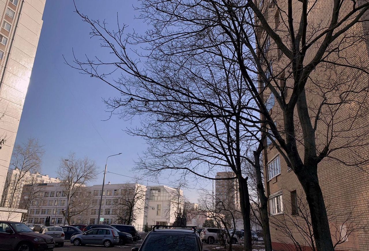 квартира г Москва метро Волжская б-р Волжский 47 муниципальный округ Кузьминки фото 6