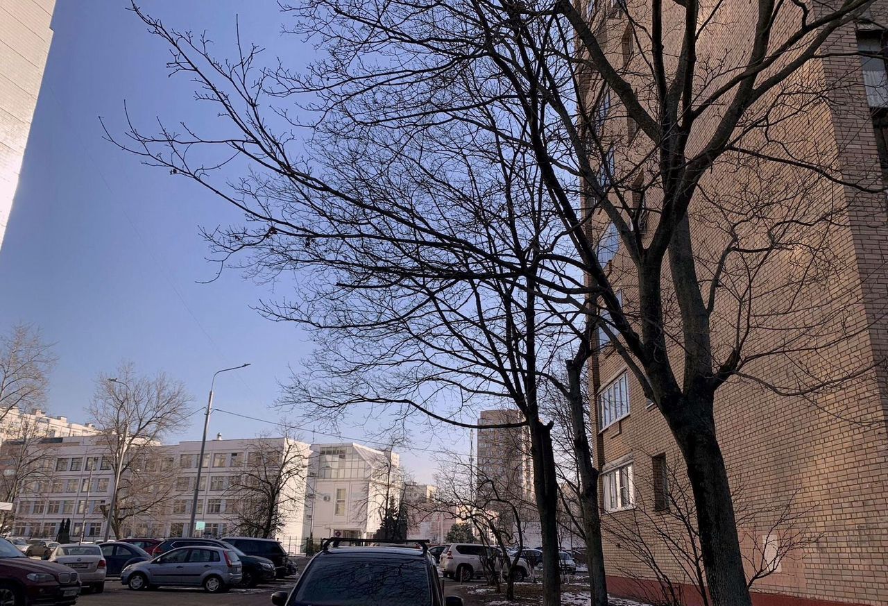квартира г Москва метро Волжская б-р Волжский 47 муниципальный округ Кузьминки фото 8