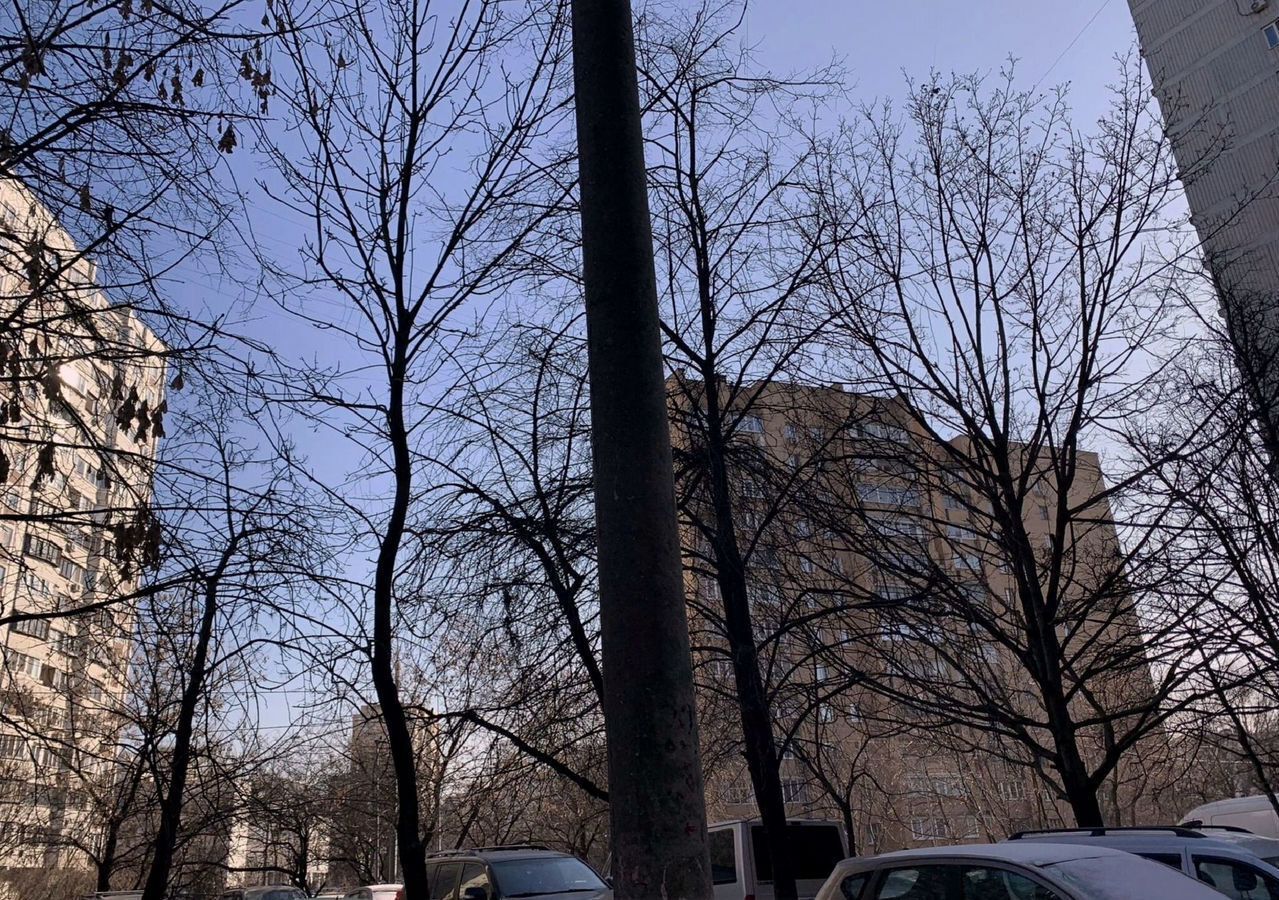 квартира г Москва метро Волжская б-р Волжский 47 муниципальный округ Кузьминки фото 15