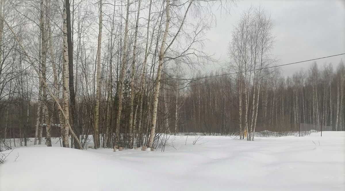 дом г Владимир р-н Октябрьский Лунево ул Лунёвская фото 12