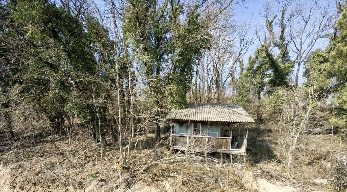 земля г Новороссийск с Цемдолина снт Голубая Даль р-н Приморский фото 1