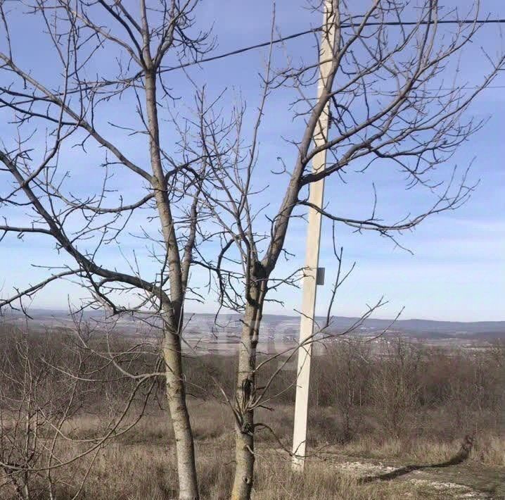 земля г Сочи снт Моряк СОТ, Новороссийск городской округ фото 4