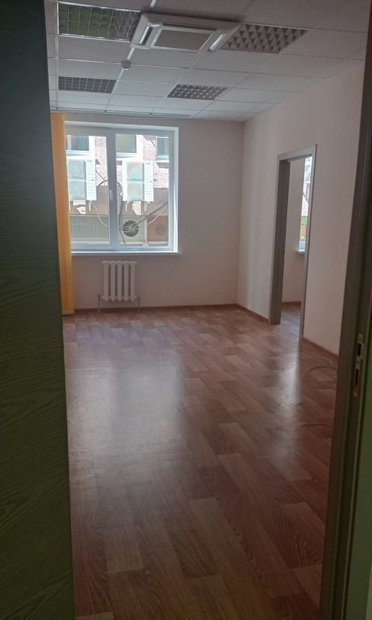 офис г Воронеж р-н Центральный ул Пушкинская 4а фото 2