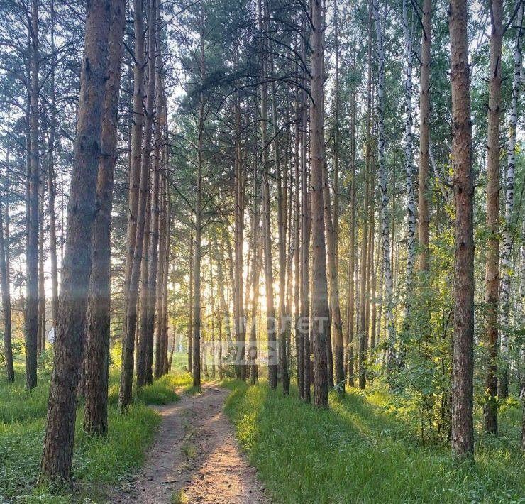 квартира г Челябинск р-н Курчатовский 12-й микрорайон фото 3