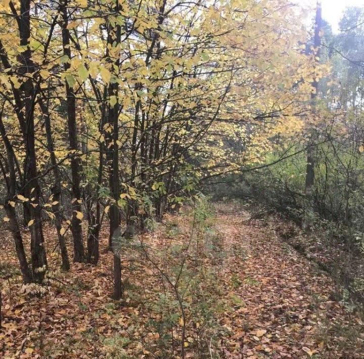 офис городской округ Павловский Посад д Кузнецы ул Новая фото 7