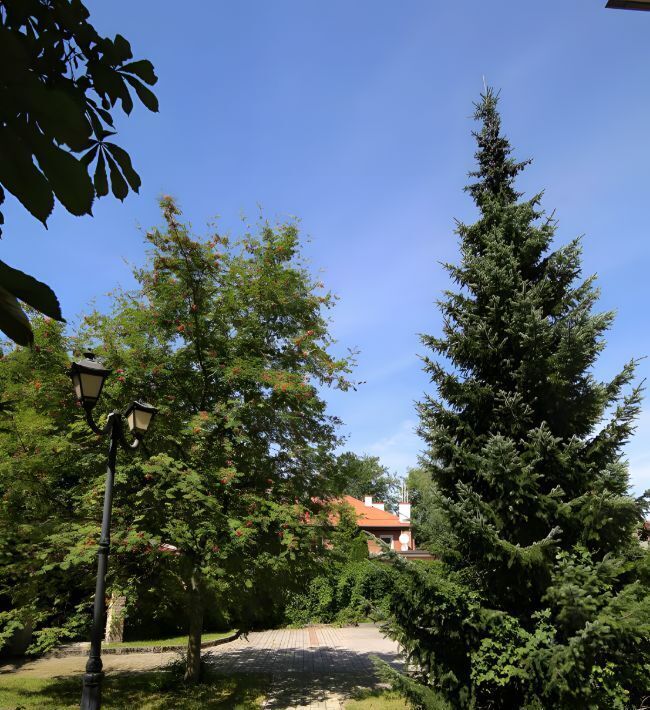 квартира г Калининград р-н Ленинградский ул Верхнеозерная 23 фото 12