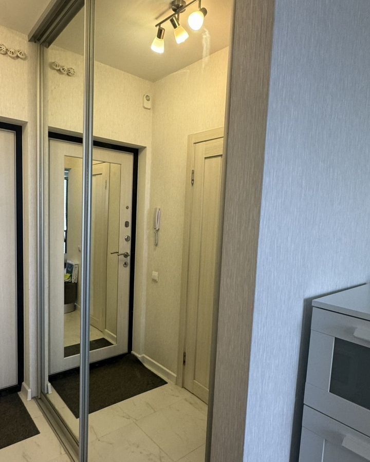 квартира г Санкт-Петербург метро Московские Ворота ул Парфёновская 11к/1 квартал «Галактика» округ Измайловское фото 15
