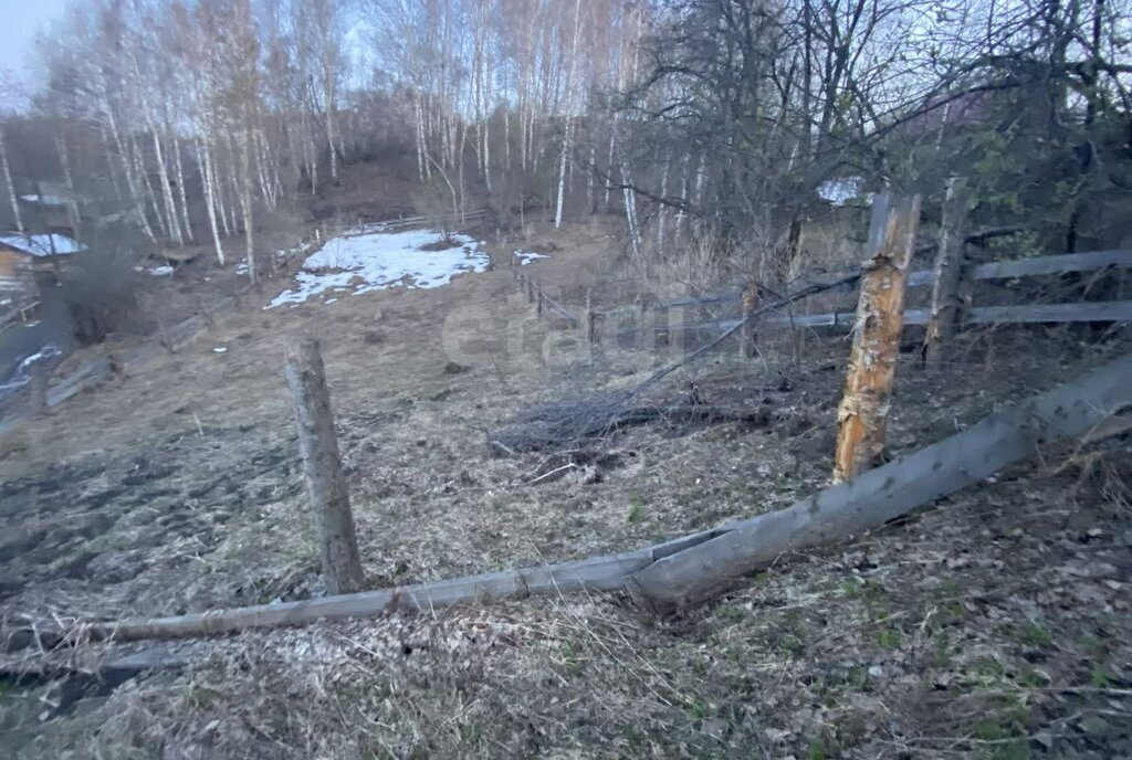 земля г Барнаул снт Березовая роща фото 1