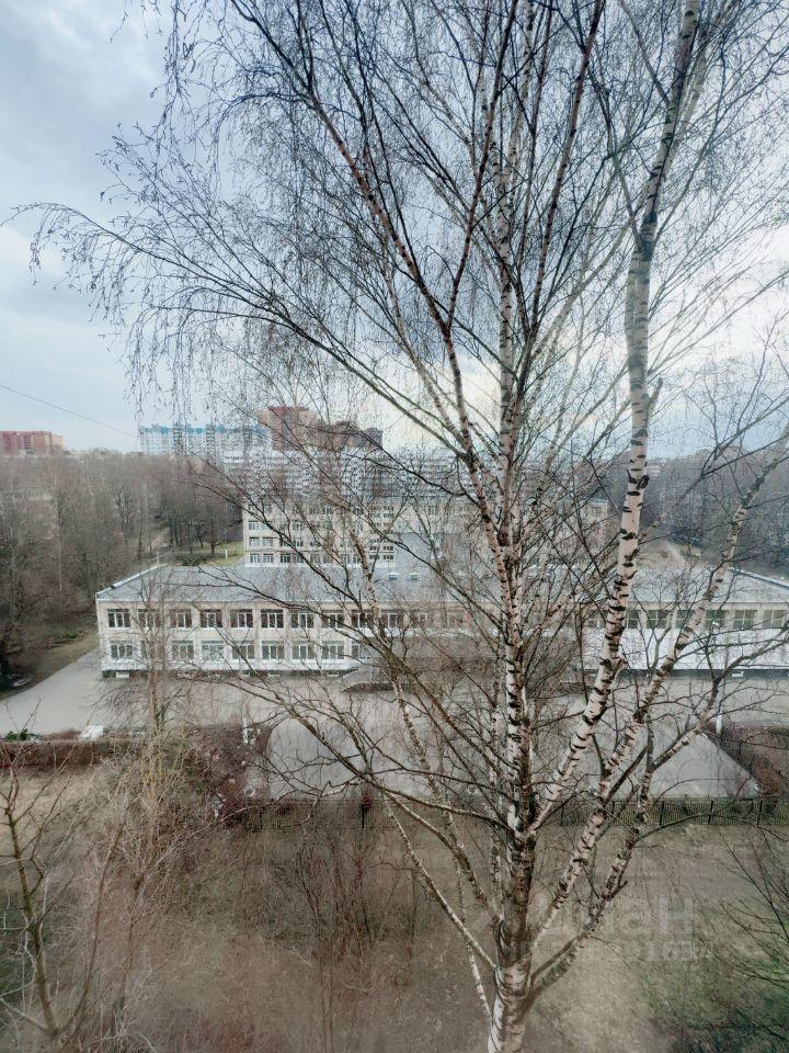 квартира г Санкт-Петербург р-н Прометей пр-кт Суздальский 93/1 Ленинградская область, Калининский район фото 5