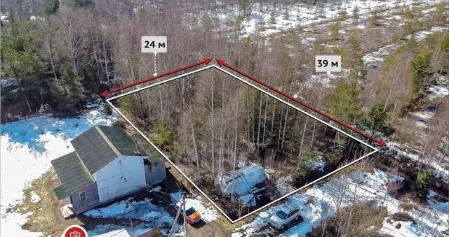 снт Надежда Рахьинское городское поселение, 5-я линия фото