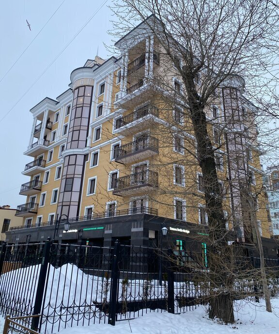 квартира г Санкт-Петербург метро Чкаловская наб Адмирала Лазарева 14 округ Чкаловское, Петроградка фото 17