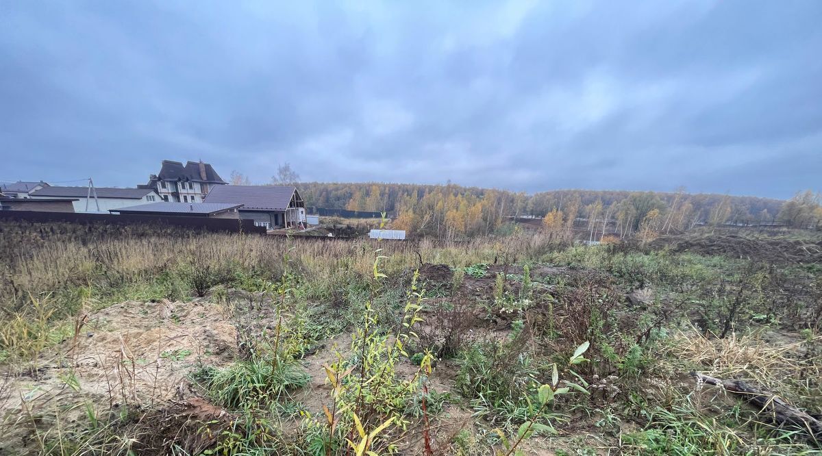земля г Домодедово д Голубино ул Голубинская фото 2