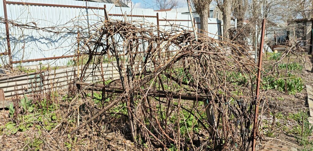 дом г Воронеж р-н Центральный ул Обороны революции 32 фото 6