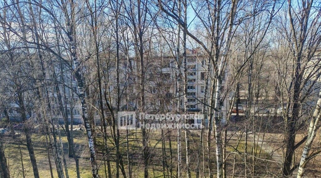 квартира г Санкт-Петербург Выборгская сторона Черная Речка ул Новосибирская 19 округ Ланское фото 11