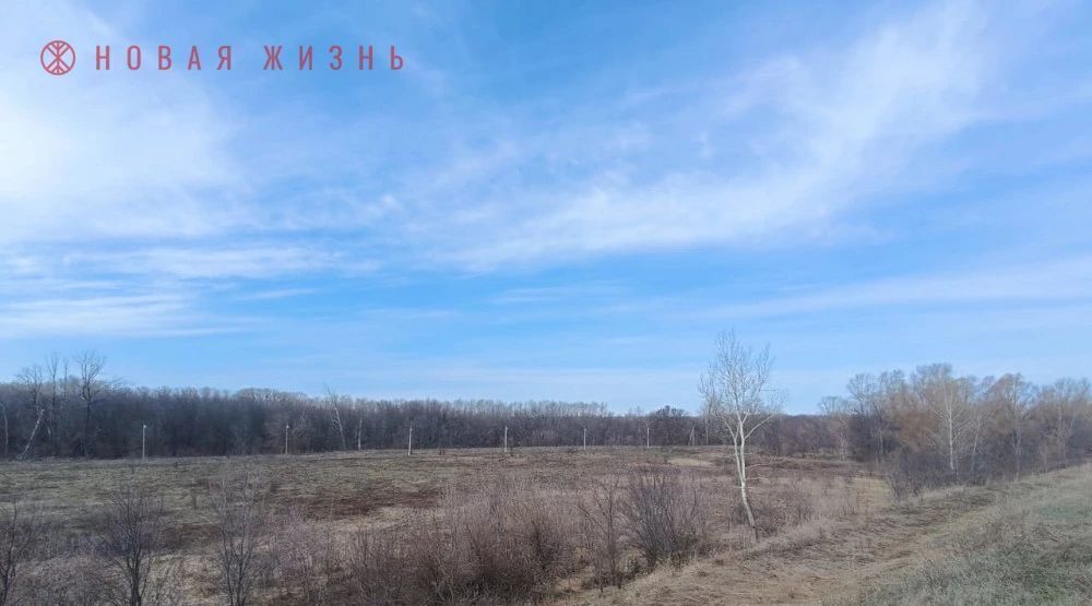 земля г Самара Алабинская фото 6