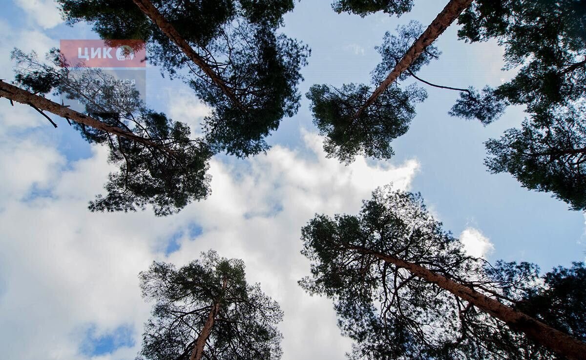 квартира г Рязань р-н Советский Солотча 8к 37 фото 18