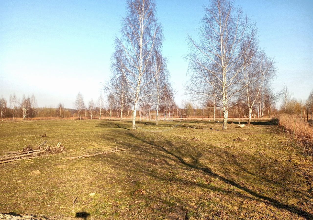 земля р-н Гурьевский г Гурьевск фото 2