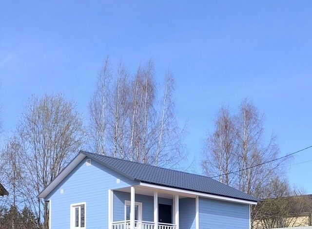 пр-д Светлый Рощинское городское поселение, Беговая фото