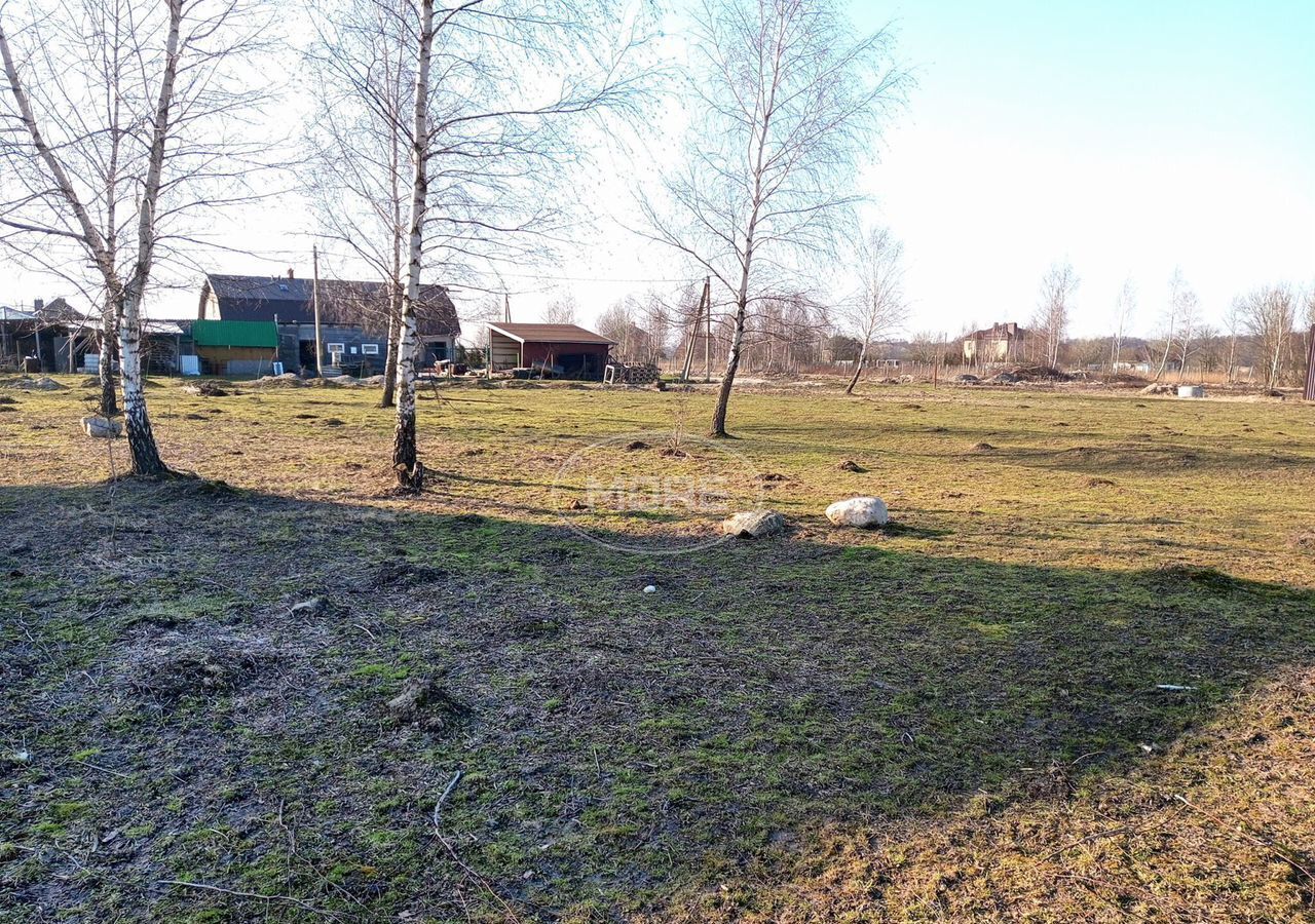земля р-н Гурьевский г Гурьевск фото 7