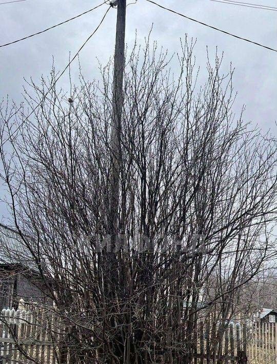 дом г Томск р-н Ленинский пл Ленина фото 6