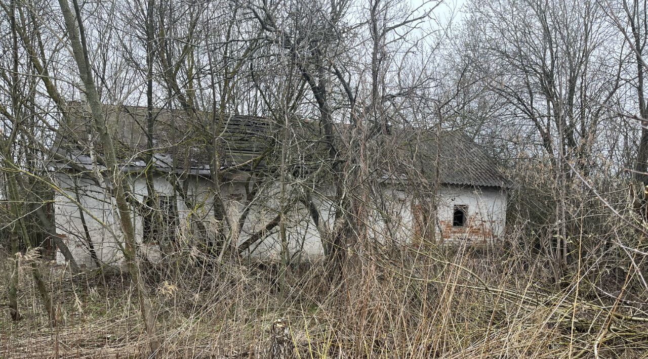 земля р-н Щекинский г Советск ул Больничная 38 фото 1
