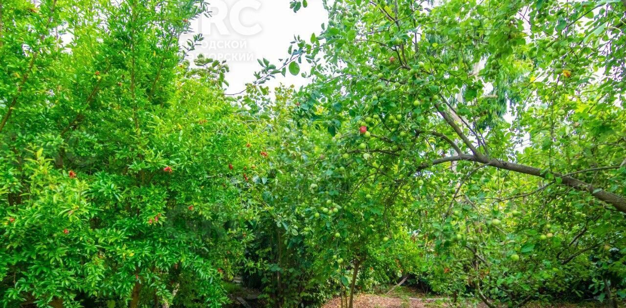 земля г Сочи р-н Центральный микрорайон Мамайка пер Ландышевый фото 4