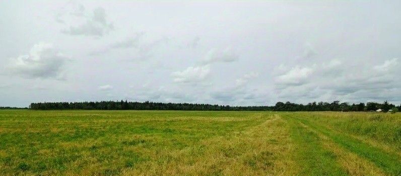 земля г Лосино-Петровский д Топорково фото 1