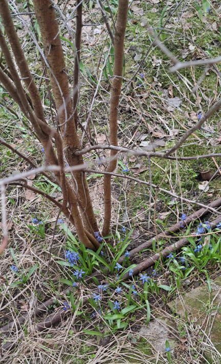 дом г Королев снт Маяк ТСН, 46, Одинцовский городской округ фото 20