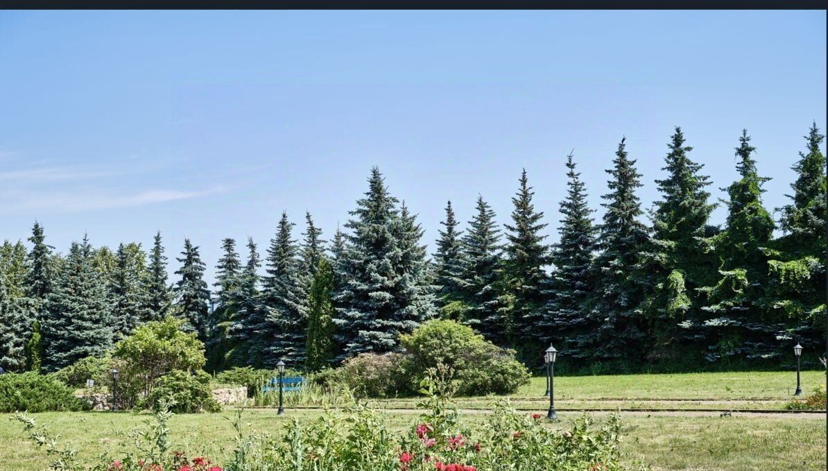 торговое помещение г Видное ш Белокаменное 20 фото 8