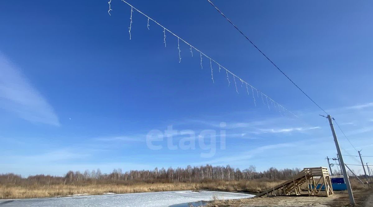 земля г Тюмень р-н Центральный снт Царево ул Тальниковая фото 6