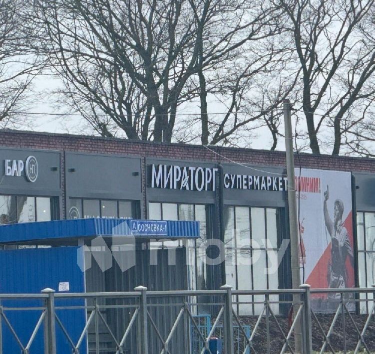 земля р-н Зеленоградский г Зеленоградск снт Сосновка фото 12
