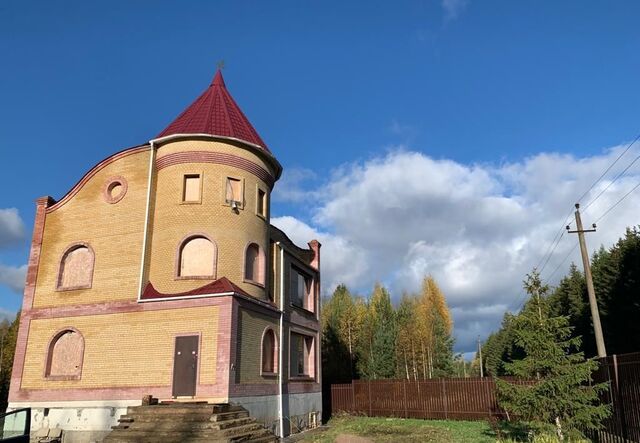 58 км, Гатчинский муниципальный округ, Киевское шоссе фото