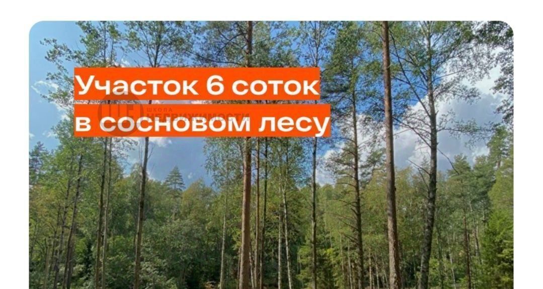 земля р-н Всеволожский д Никитилово Куйвозовское с/пос фото 3