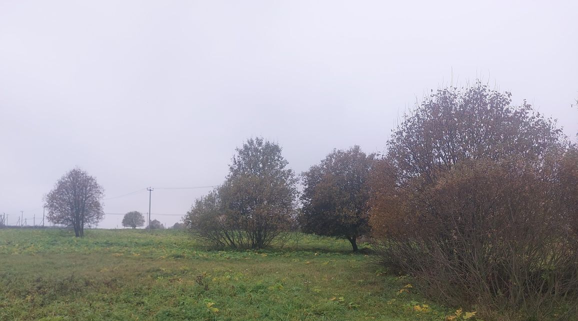 земля городской округ Наро-Фоминский д Крюково фото 1