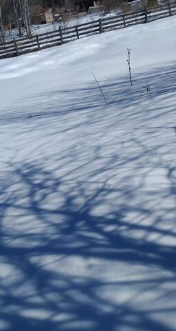 ул Береговая Сейкинское сельское поселение, Турочак фото