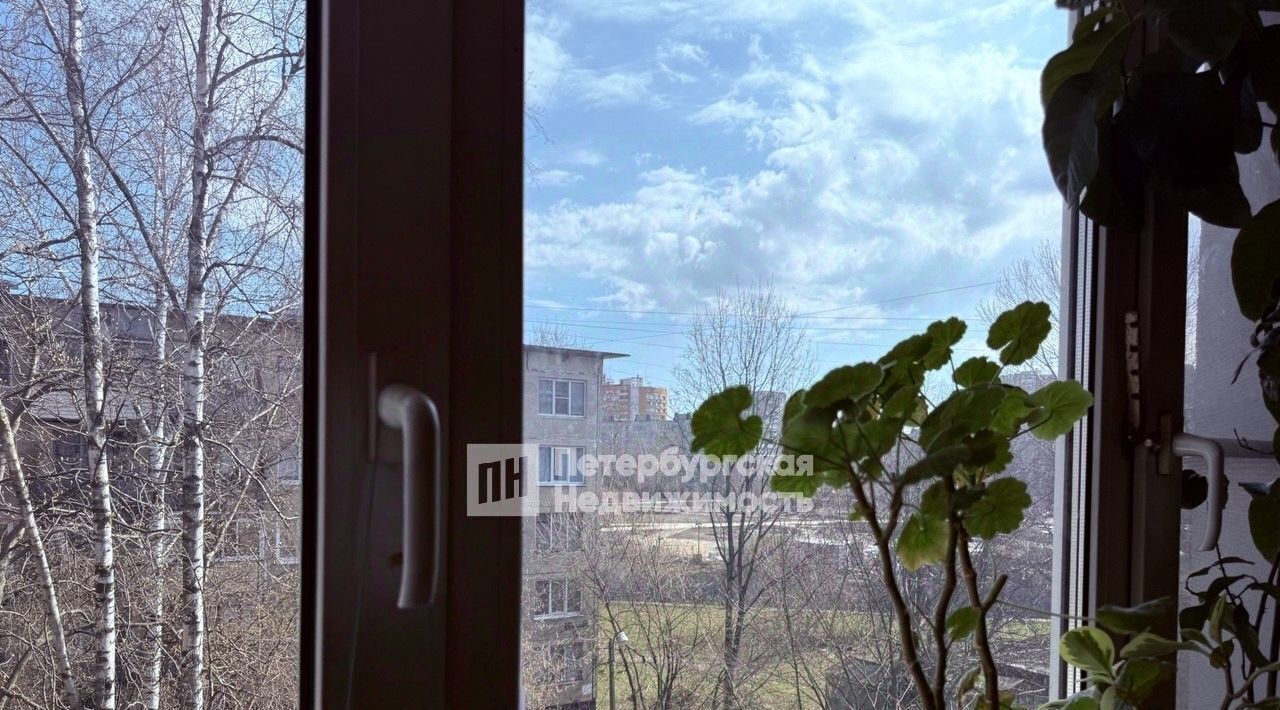 квартира г Санкт-Петербург метро Проспект Славы ул Белградская 46 округ Георгиевский фото 11
