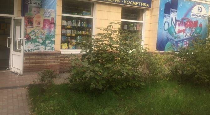 торговое помещение г Нижний Новгород р-н Московский Буревестник ул Чаадаева 21 фото 1