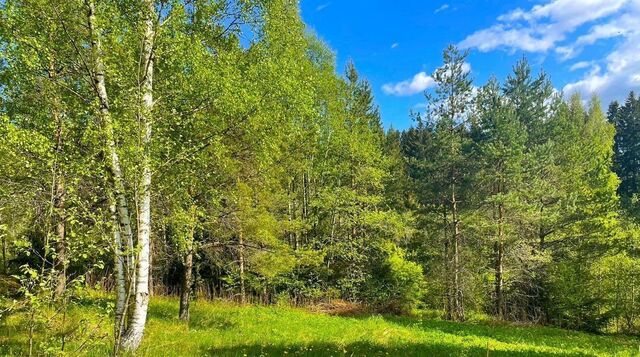 Бугровское городское поселение фото