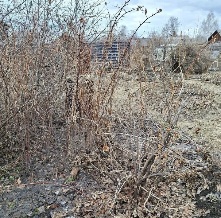 дом г Нижний Тагил р-н Дзержинский ул Полевая 16 фото 9