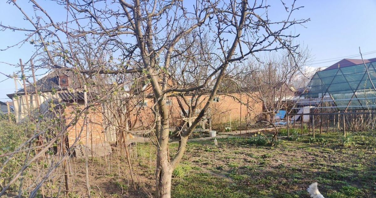 дом р-н Тимашевский г Тимашевск ул Степанова 242 фото 17