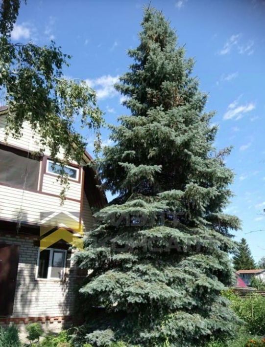 дом г Омск р-н Ленинский СОСН Шинник-1 тер., аллея 2-я, 324 фото 12