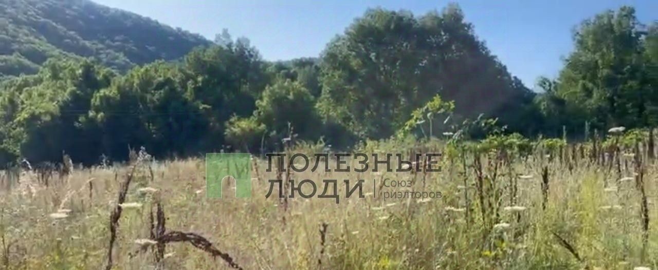 земля г Новороссийск п Лесничество Абрау-Дюрсо ул. Любимая фото 4